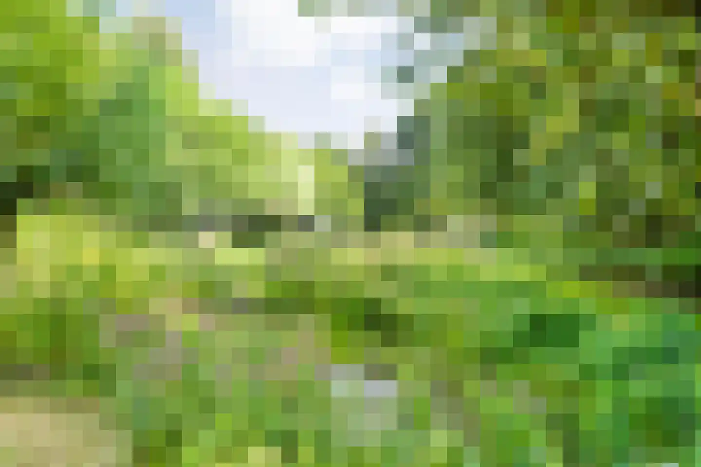 De Weidenweg 70 Ruinerwold thumbnail 89