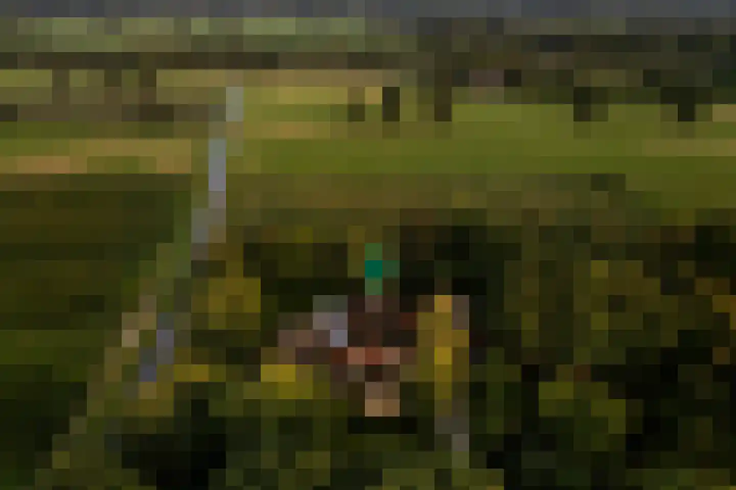 De Weidenweg 70 Ruinerwold thumbnail 93