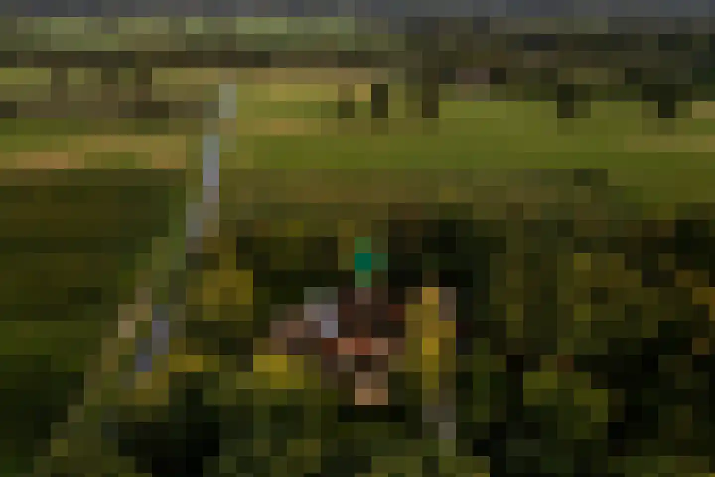 De Weidenweg 70 Ruinerwold thumbnail 94