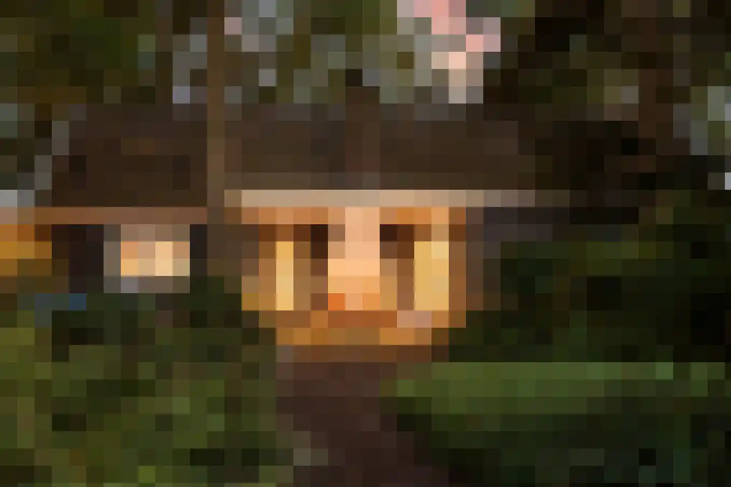 De Weidenweg 70 Ruinerwold thumbnail 99