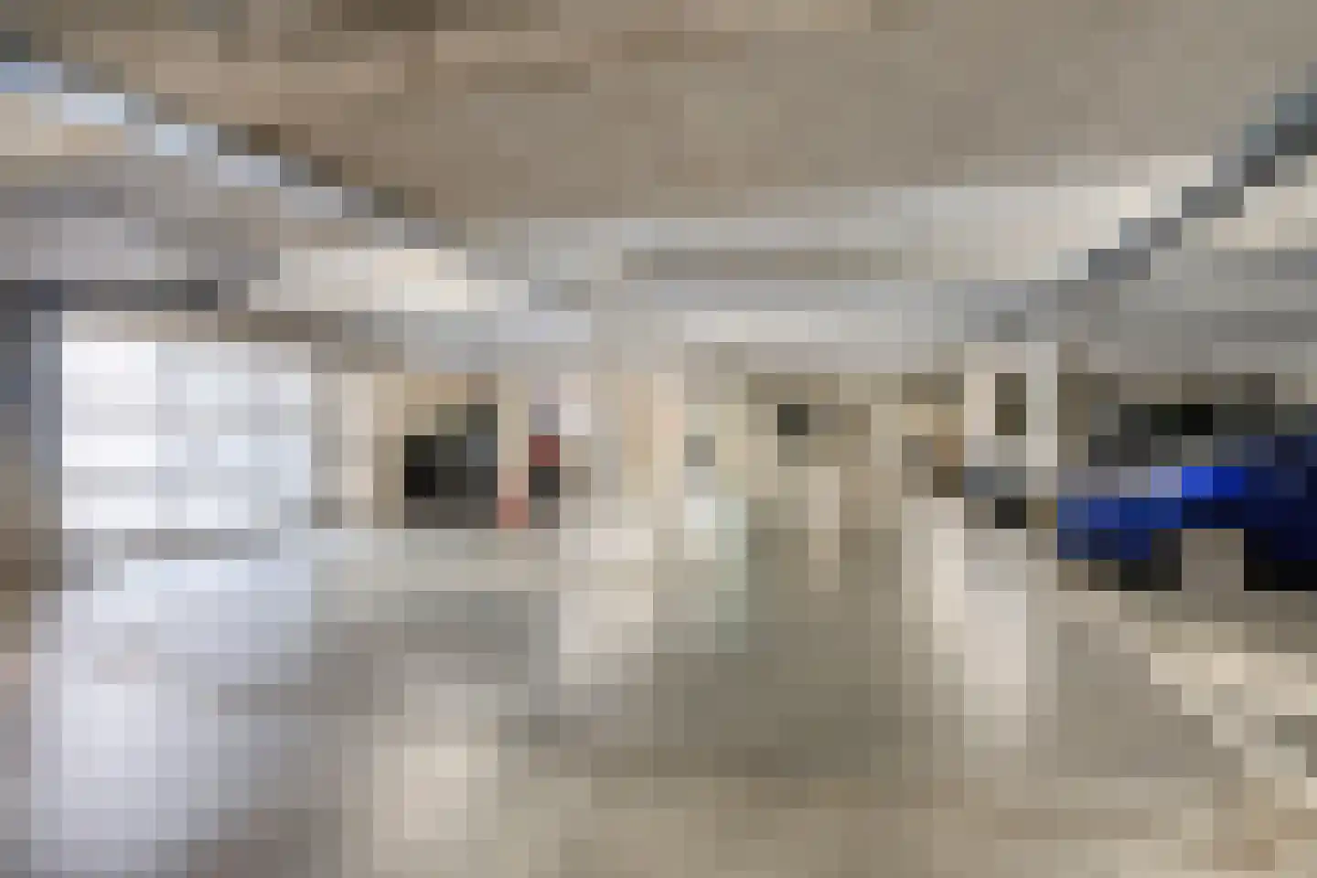De Weijenbergh 46 Oisterwijk thumbnail 40