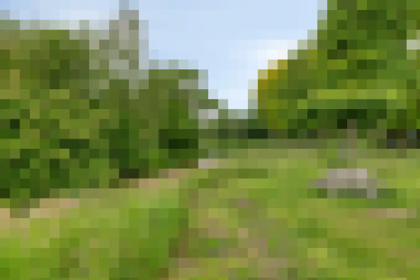 De Weijenbergh 46 Oisterwijk thumbnail 41