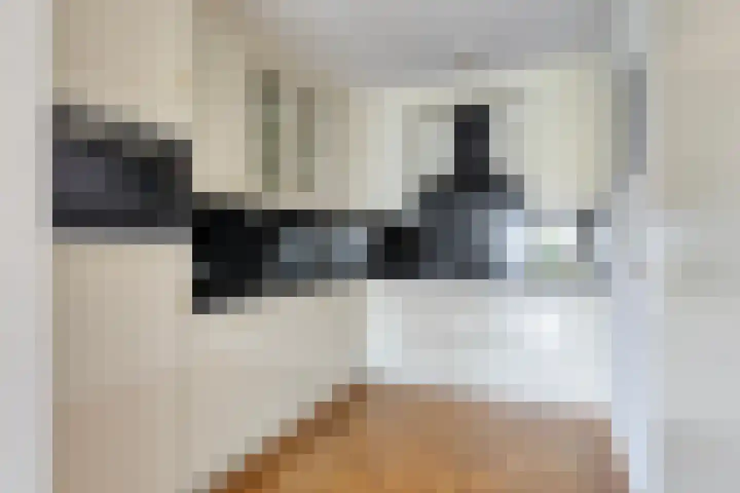 De Weijenbergh 6 Oisterwijk thumbnail 13