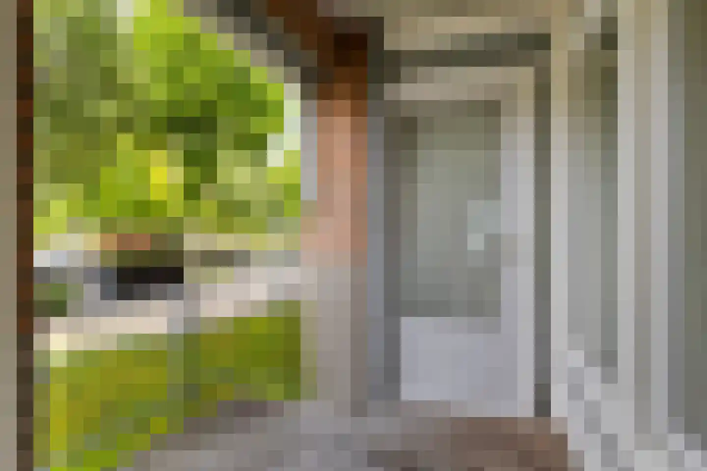 De Weijenbergh 6 Oisterwijk thumbnail 24