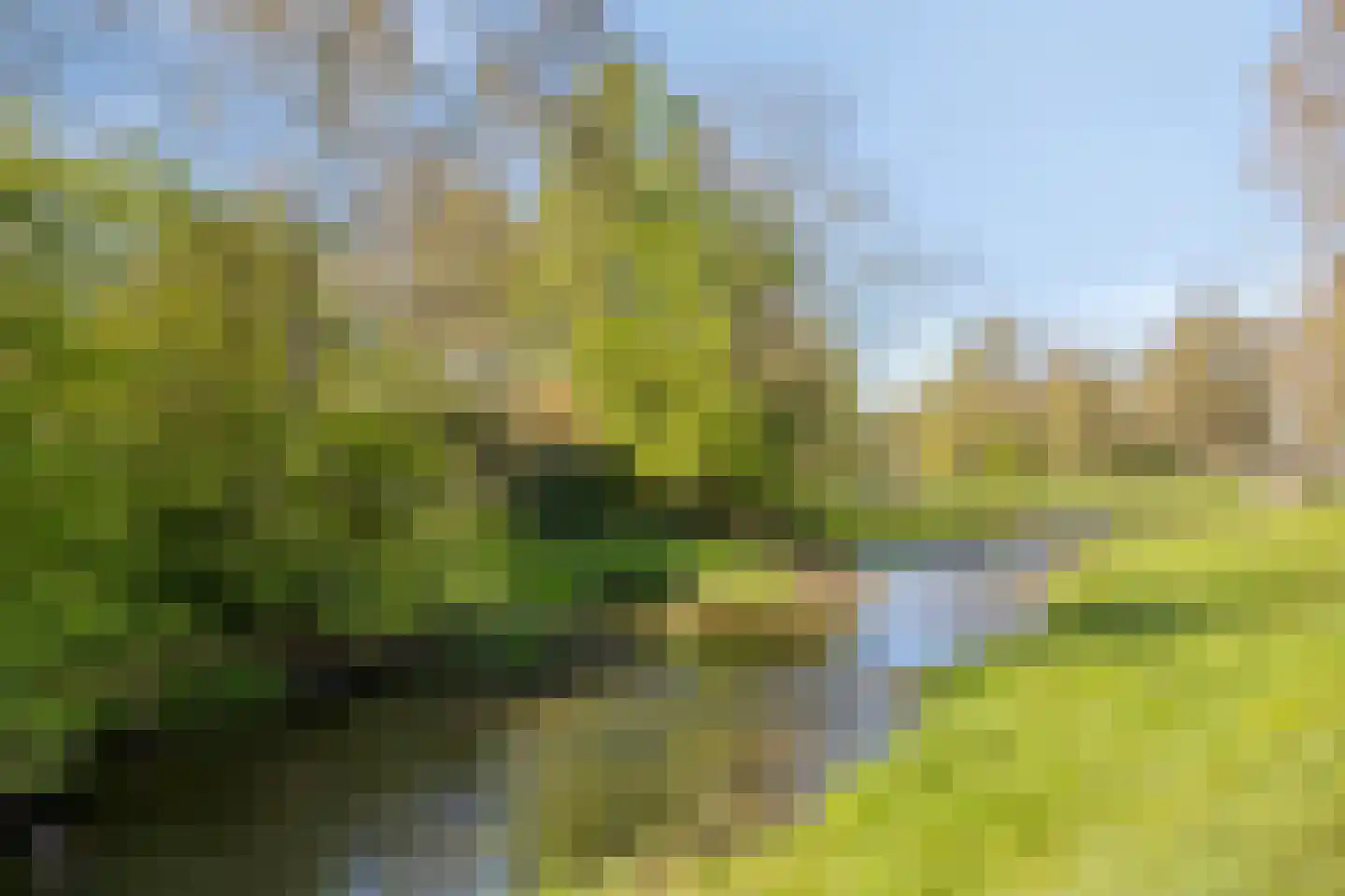 De Weijenbergh 6 Oisterwijk thumbnail 44