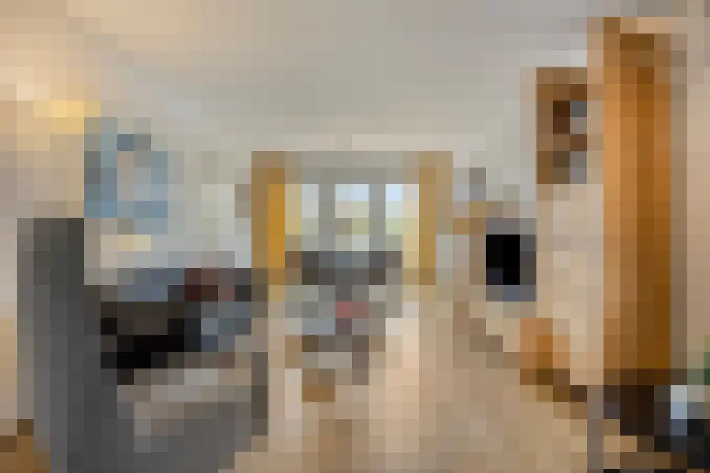 De Weijenbergh 60 Oisterwijk thumbnail 13
