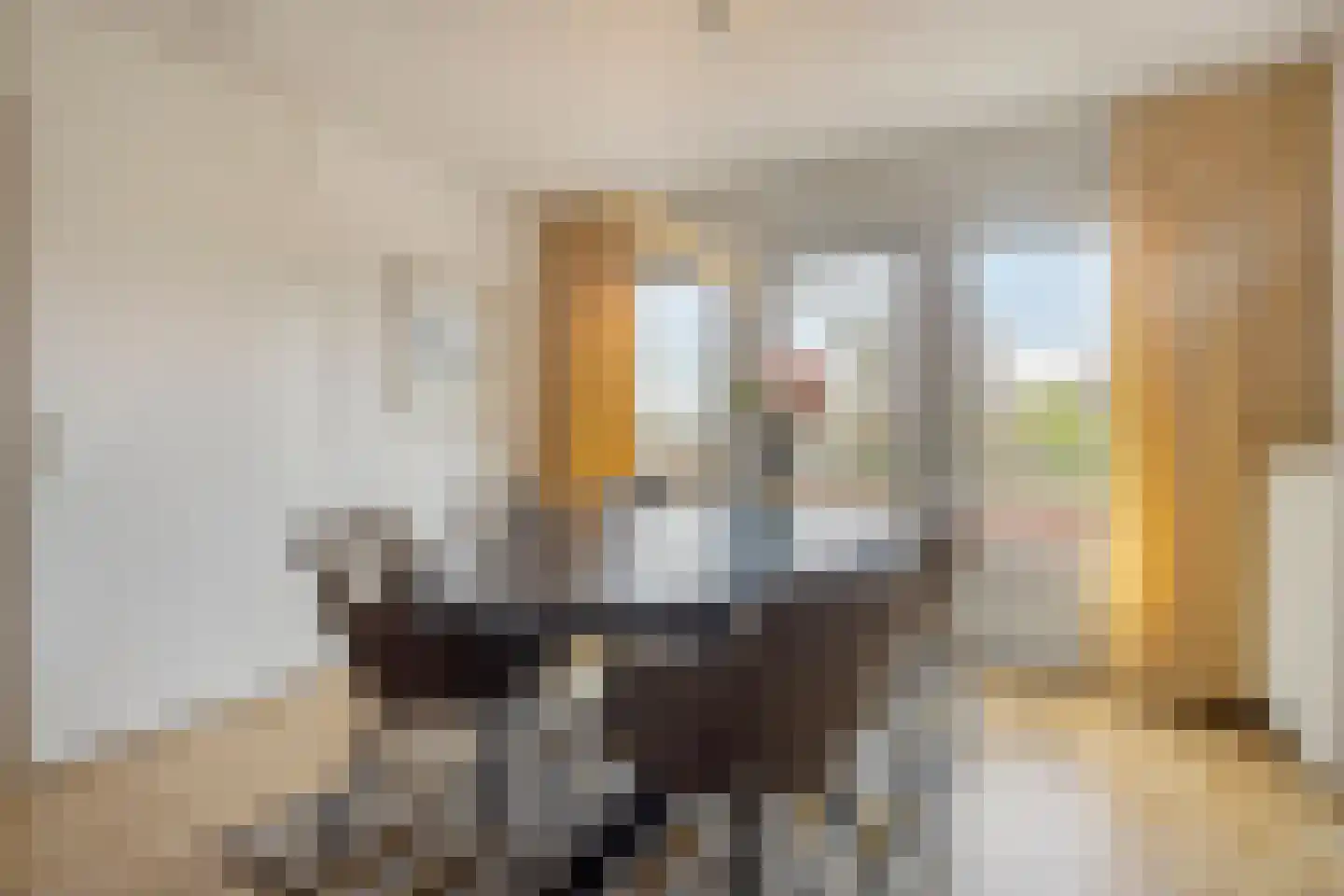 De Weijenbergh 60 Oisterwijk thumbnail 19
