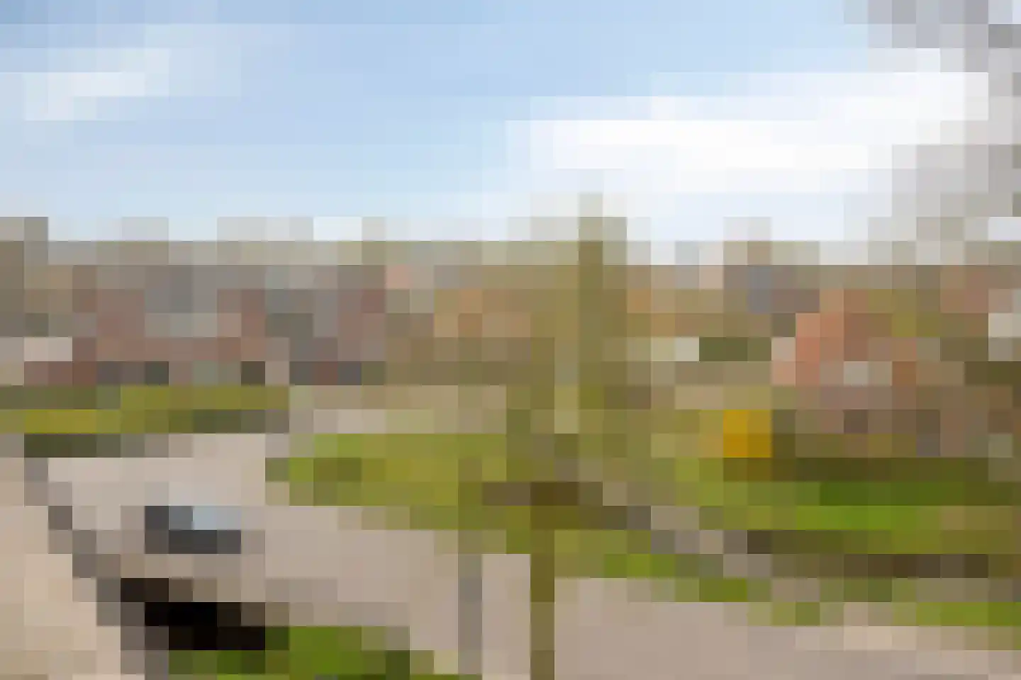 De Weijenbergh 60 Oisterwijk thumbnail 22