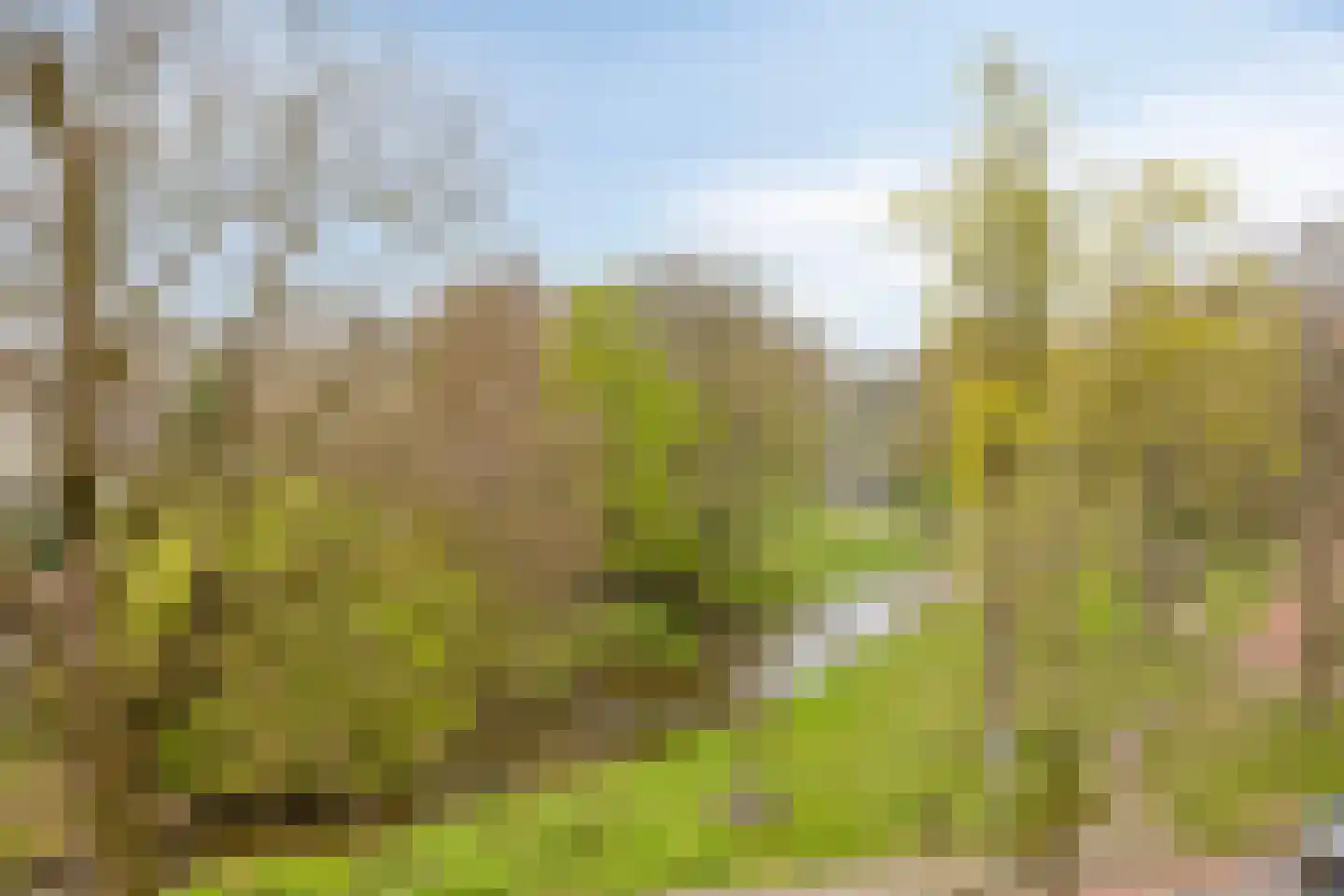 De Weijenbergh 60 Oisterwijk thumbnail 23