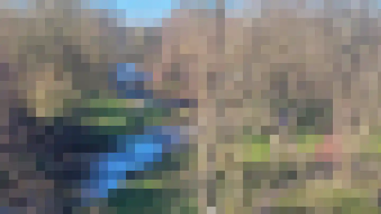 De Weijenbergh 60 Oisterwijk thumbnail 24
