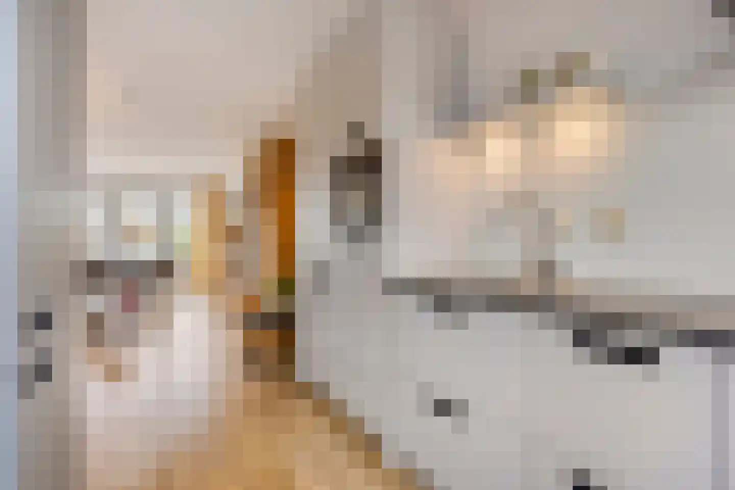 De Weijenbergh 60 Oisterwijk thumbnail 30