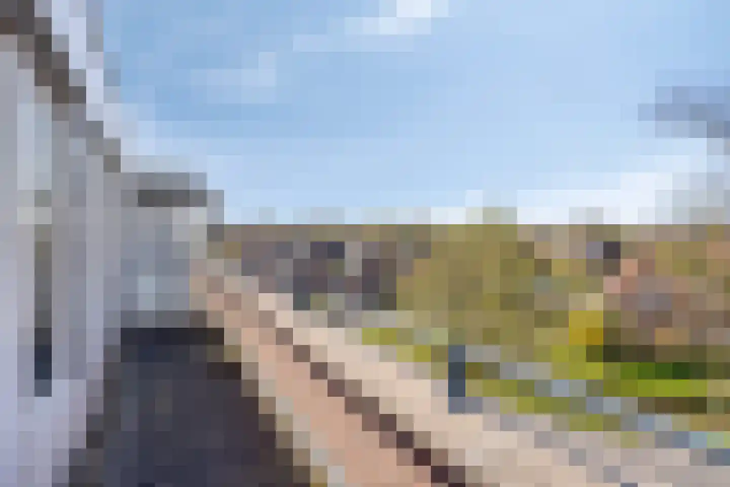 De Weijenbergh 60 Oisterwijk thumbnail 37