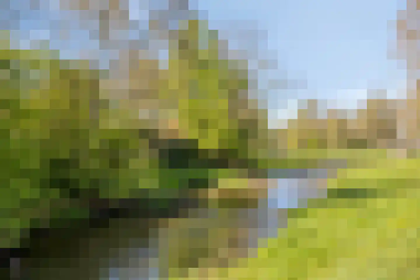 De Weijenbergh 60 Oisterwijk thumbnail 45