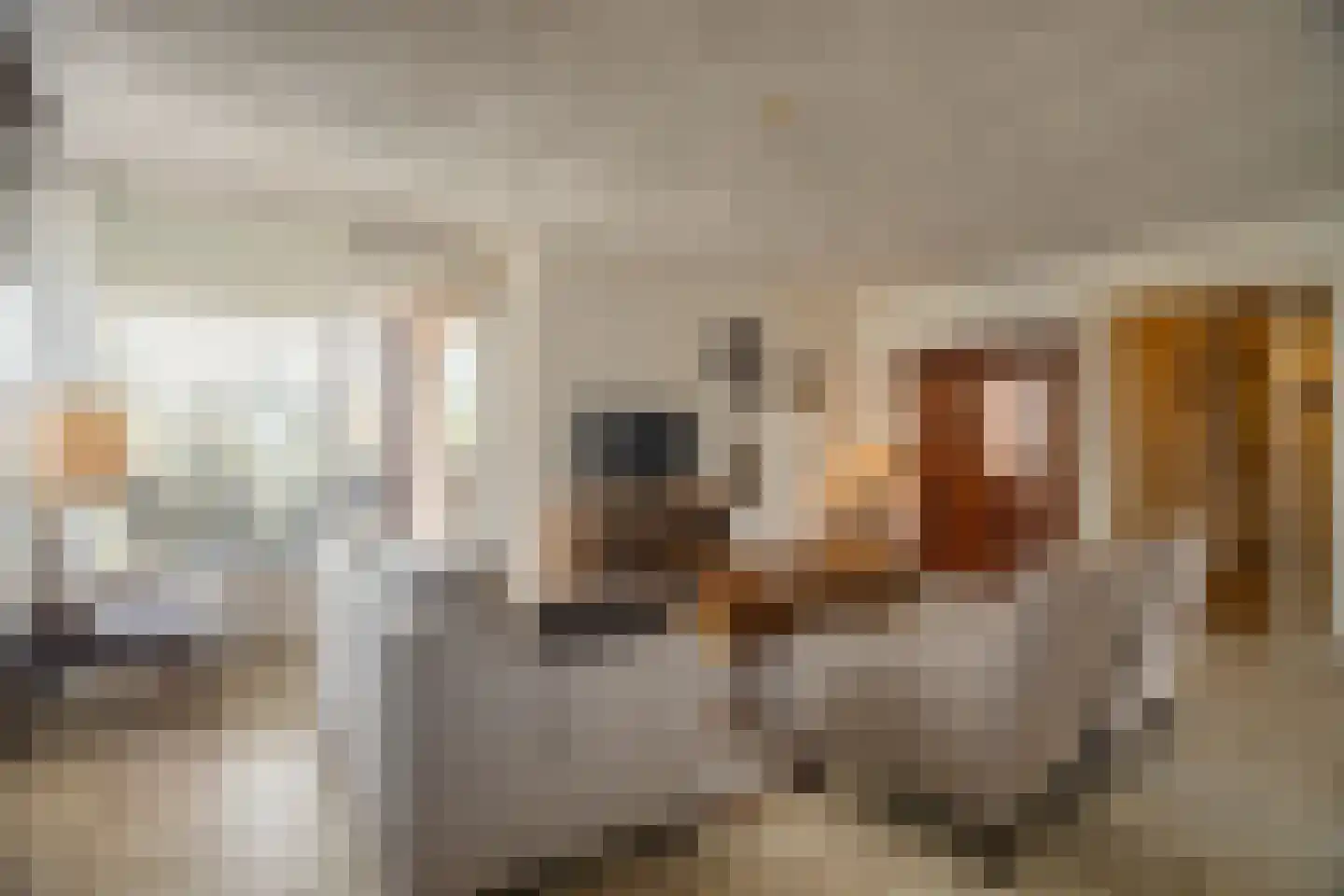 De Weijenbergh 92 Oisterwijk thumbnail 4