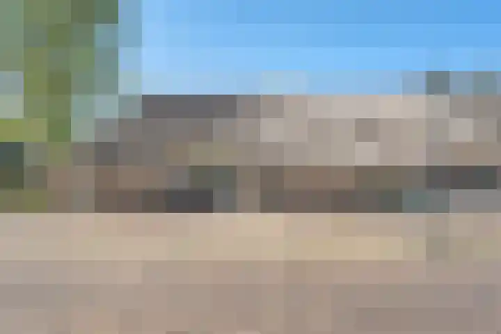 De Weijert 2 a Dwingeloo thumbnail 10