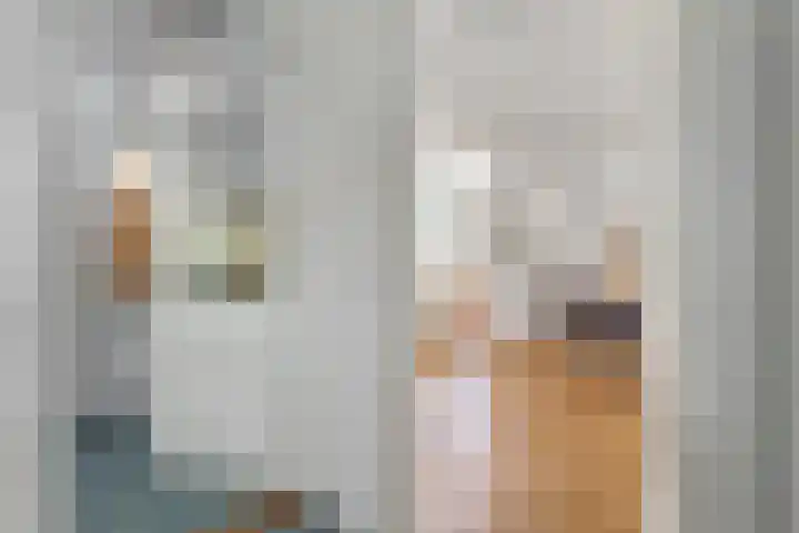 De Weijert 2 a Dwingeloo thumbnail 26