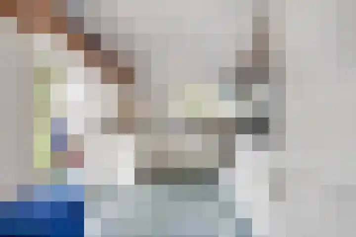 De Weijert 2 a Dwingeloo thumbnail 4