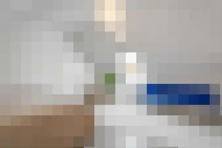 De Weijert 2 a Dwingeloo thumbnail 49