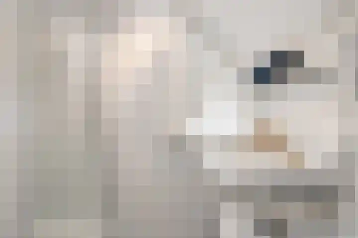 De Weijert 2 a Dwingeloo thumbnail 50