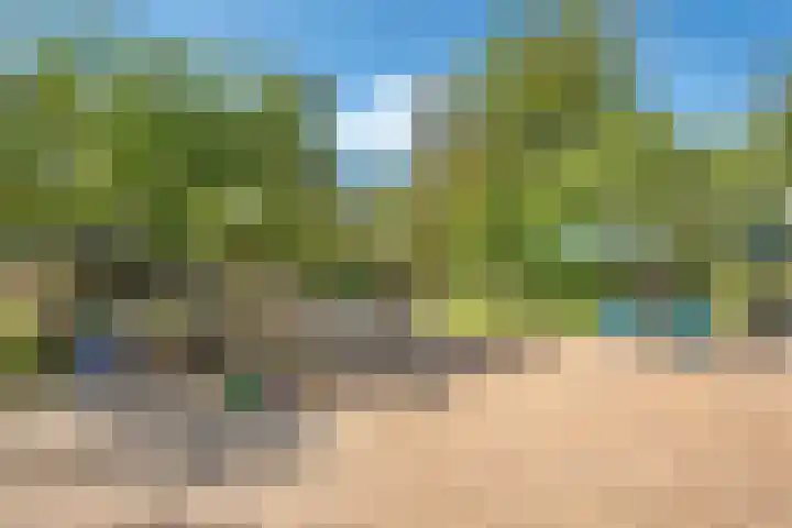 De Weijert 2 a Dwingeloo thumbnail 53