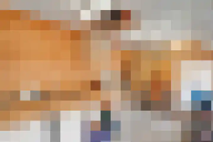 De Weijert 2 a Dwingeloo thumbnail 61