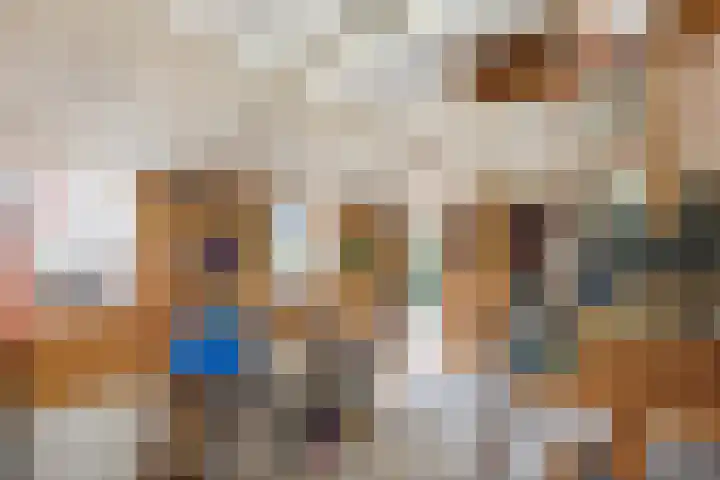 De Weijert 2 a Dwingeloo thumbnail 62