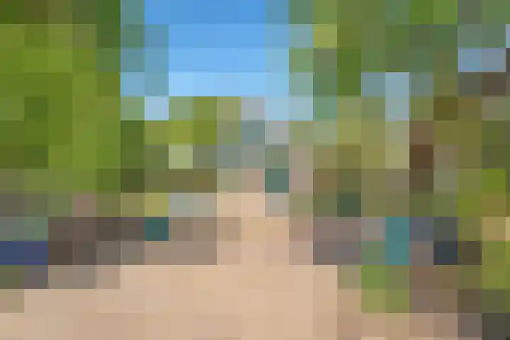 De Weijert 2 a Dwingeloo thumbnail 64