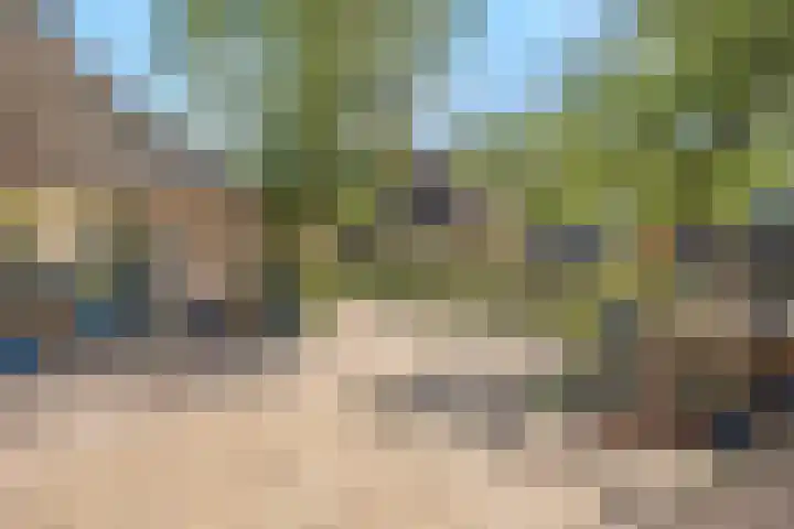 De Weijert 2 a Dwingeloo thumbnail 65