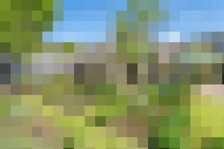 De Weijert 2 a Dwingeloo thumbnail 67