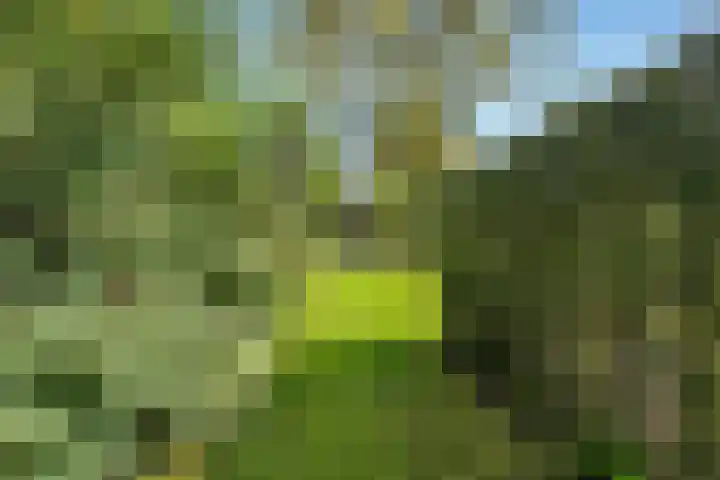De Weijert 2 a Dwingeloo thumbnail 68