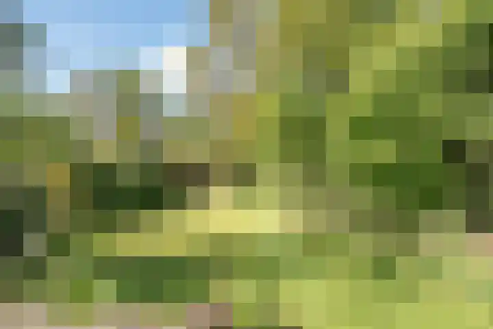 De Weijert 2 a Dwingeloo thumbnail 69