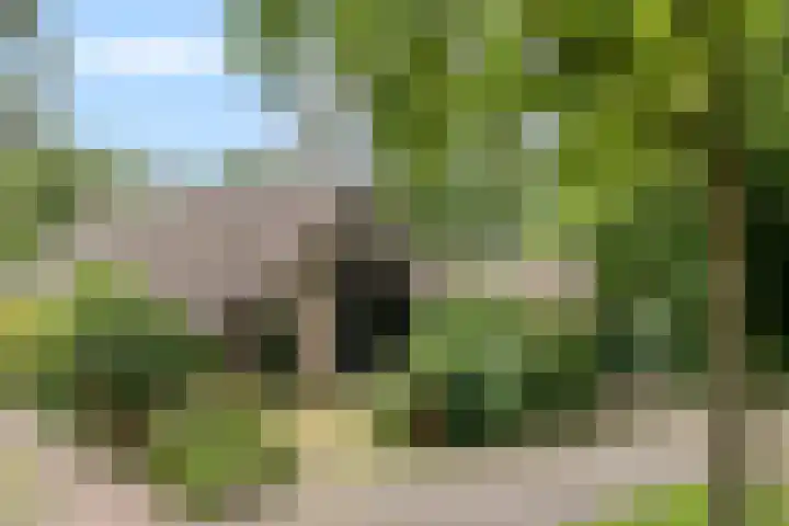 De Weijert 8 in Dwingeloo