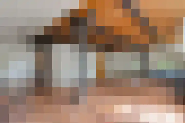 De Weijert 8 Dwingeloo thumbnail 11