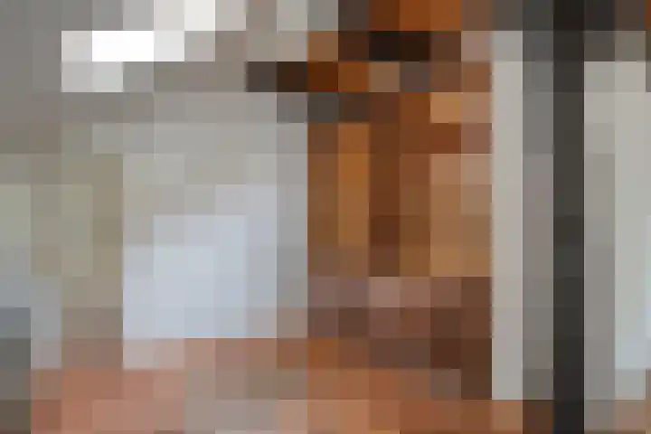 De Weijert 8 Dwingeloo thumbnail 12