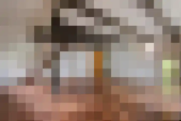 De Weijert 8 Dwingeloo thumbnail 17