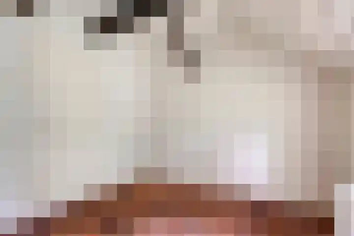 De Weijert 8 Dwingeloo thumbnail 20