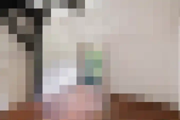 De Weijert 8 Dwingeloo thumbnail 26