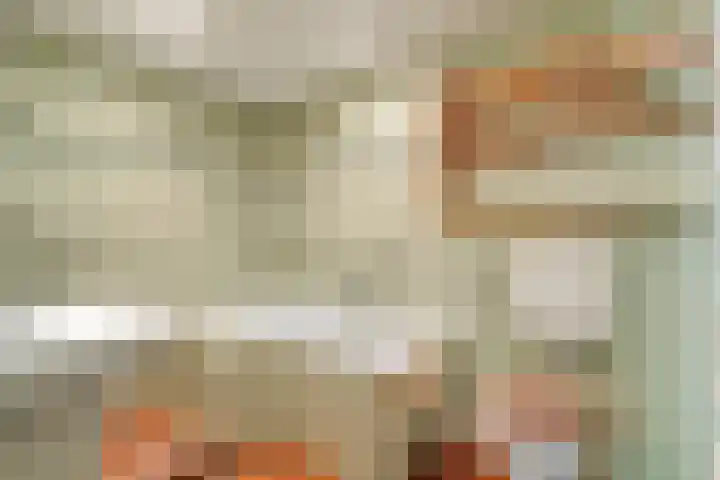 De Weijert 8 Dwingeloo thumbnail 28