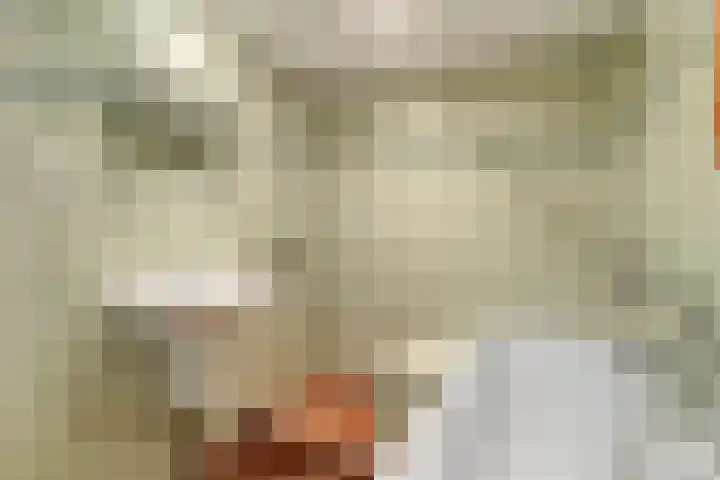 De Weijert 8 Dwingeloo thumbnail 29