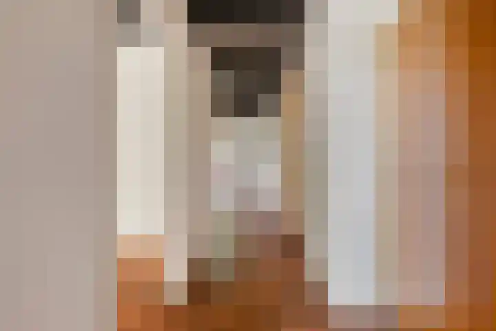 De Weijert 8 Dwingeloo thumbnail 31