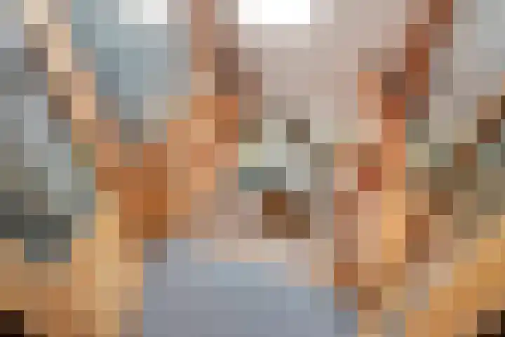 De Weijert 8 Dwingeloo thumbnail 32