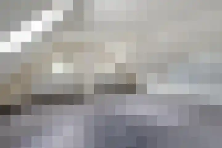 De Weijert 8 Dwingeloo thumbnail 33