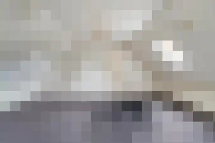 De Weijert 8 Dwingeloo thumbnail 34