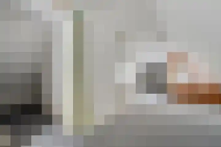 De Weijert 8 Dwingeloo thumbnail 35