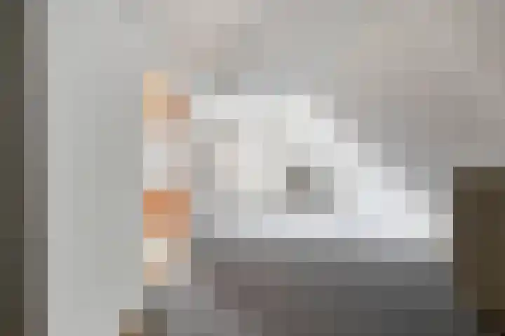 De Weijert 8 Dwingeloo thumbnail 39
