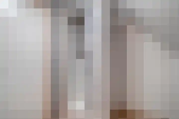 De Weijert 8 Dwingeloo thumbnail 42
