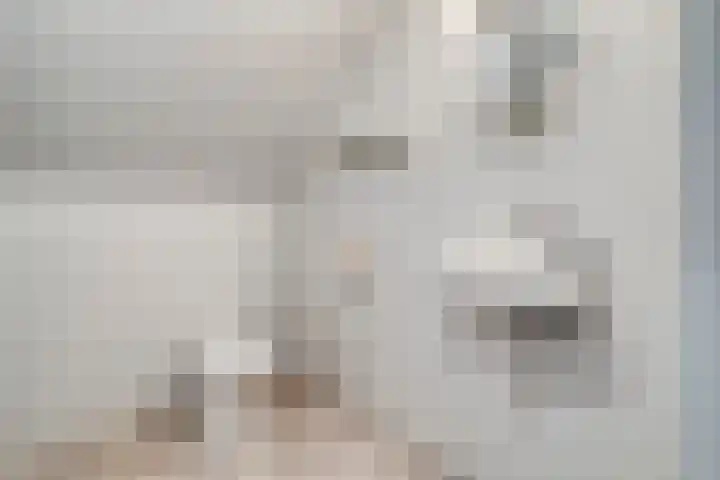 De Weijert 8 Dwingeloo thumbnail 43