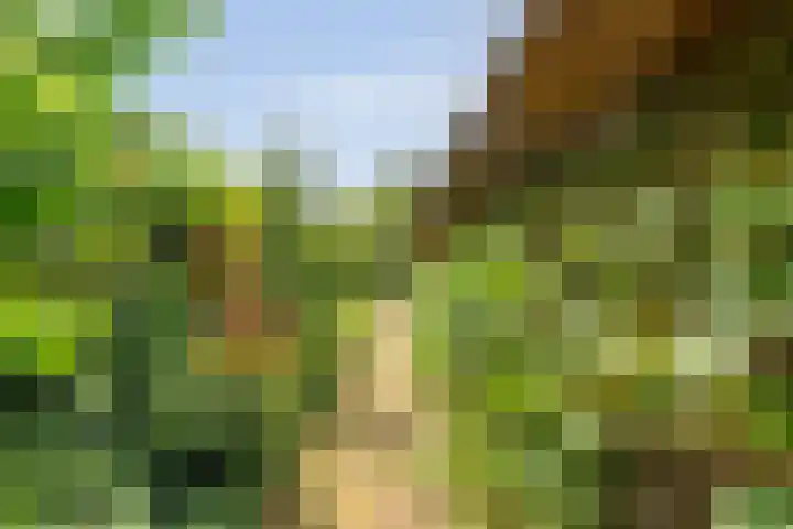 De Weijert 8 Dwingeloo thumbnail 46