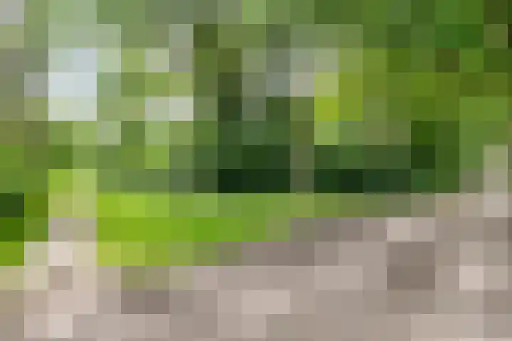 De Weijert 8 Dwingeloo thumbnail 47