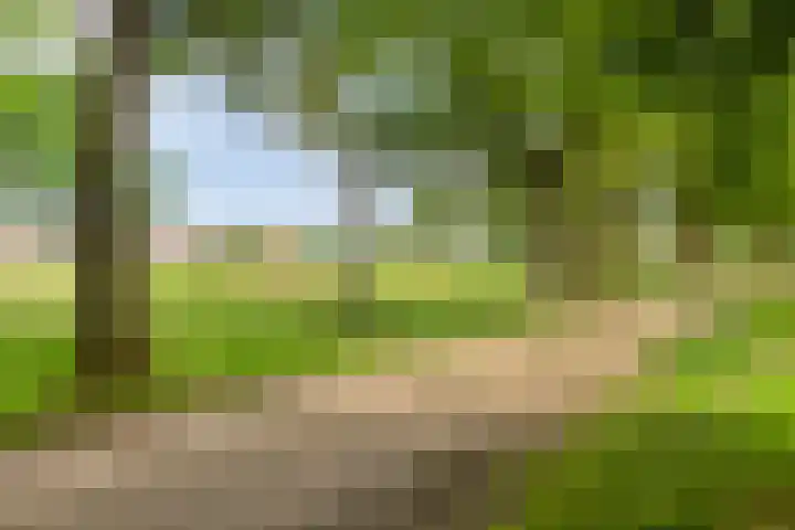 De Weijert 8 Dwingeloo thumbnail 48